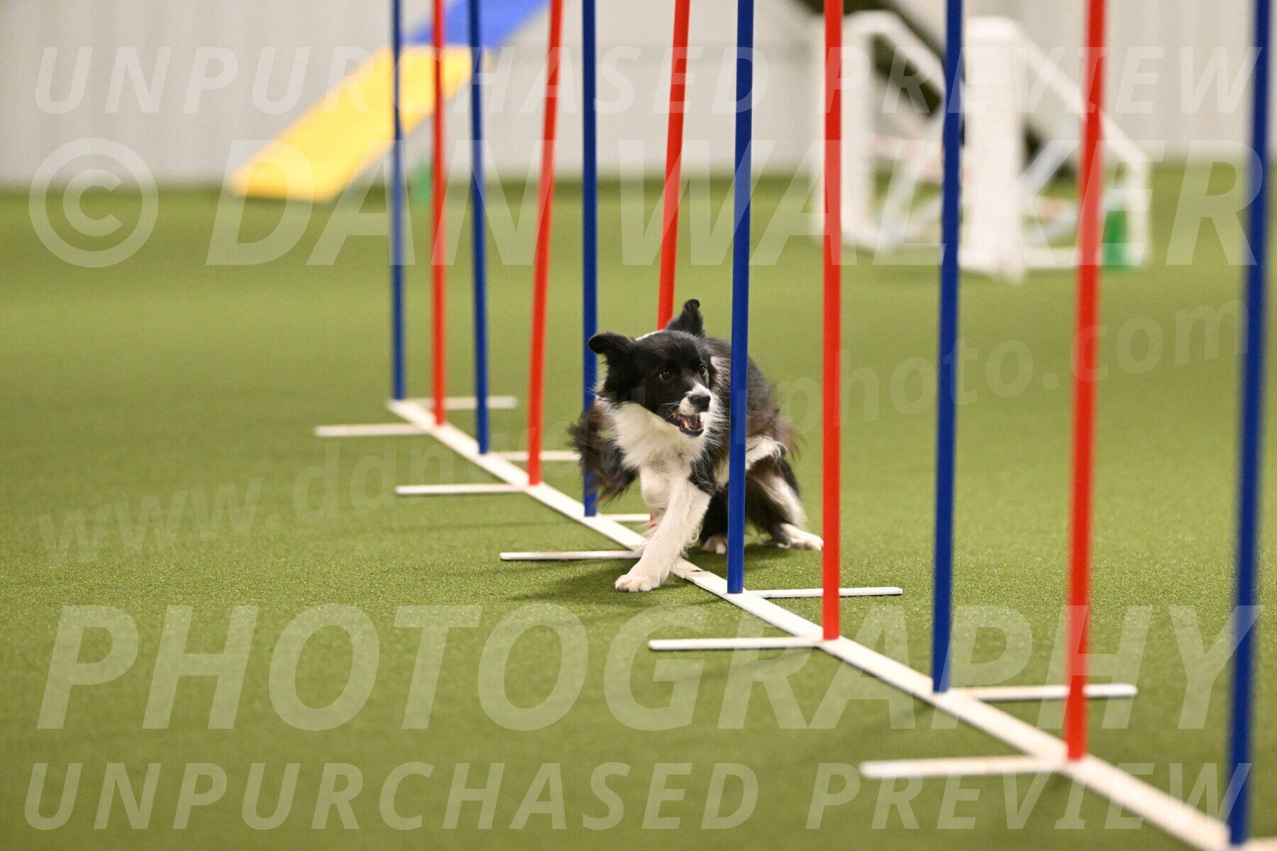 Esme-Samantha-Yanchik-00911