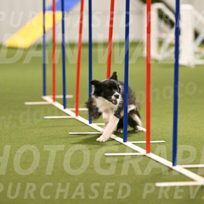 Esme-Samantha-Yanchik-00911