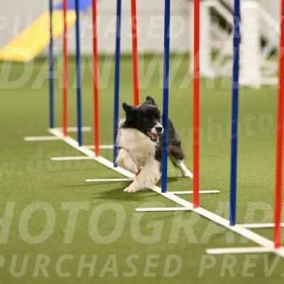 Esme-Samantha-Yanchik-00912