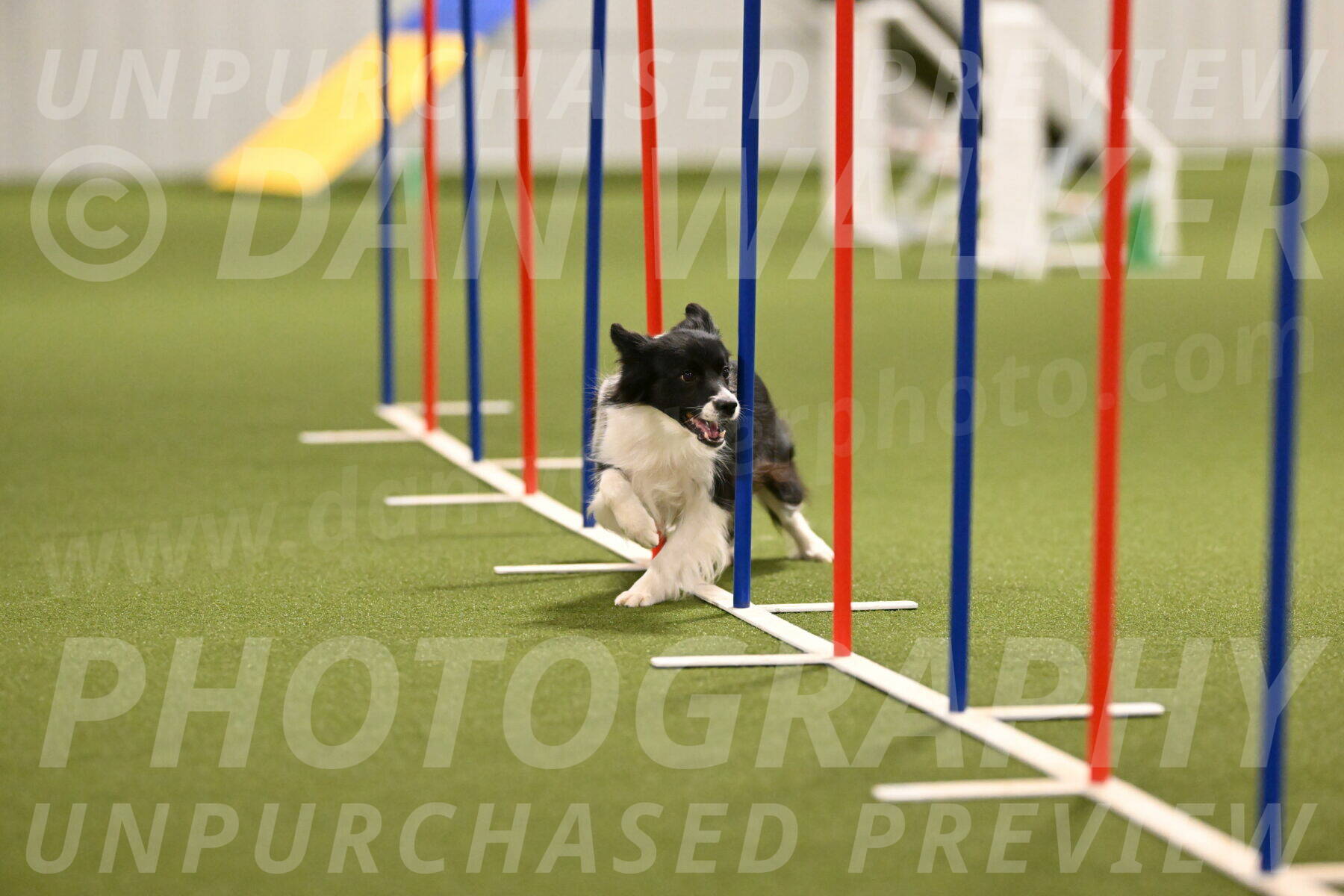 Esme-Samantha-Yanchik-00912