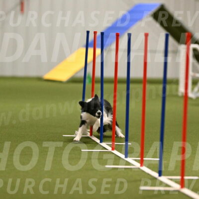 Esme-Samantha-Yanchik-00913