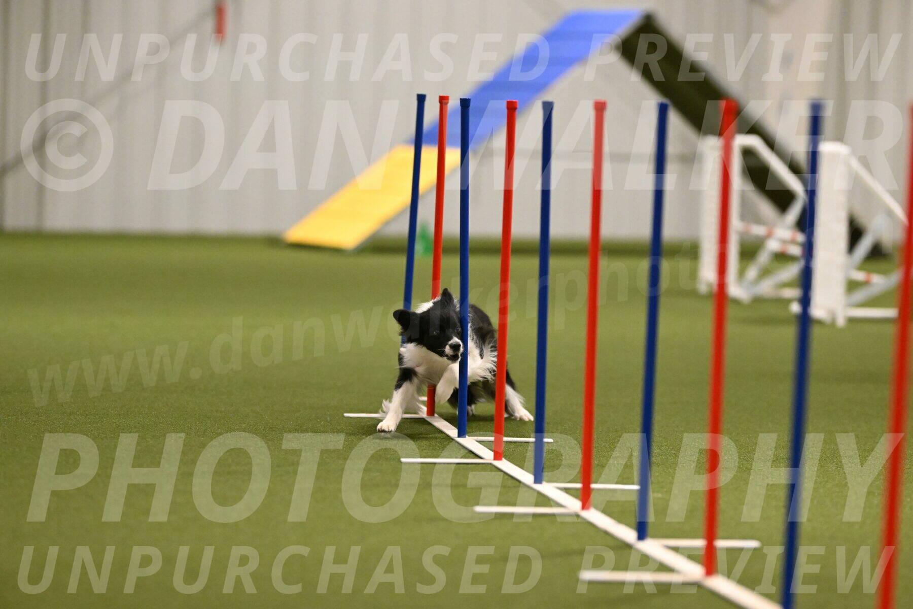 Esme-Samantha-Yanchik-00913