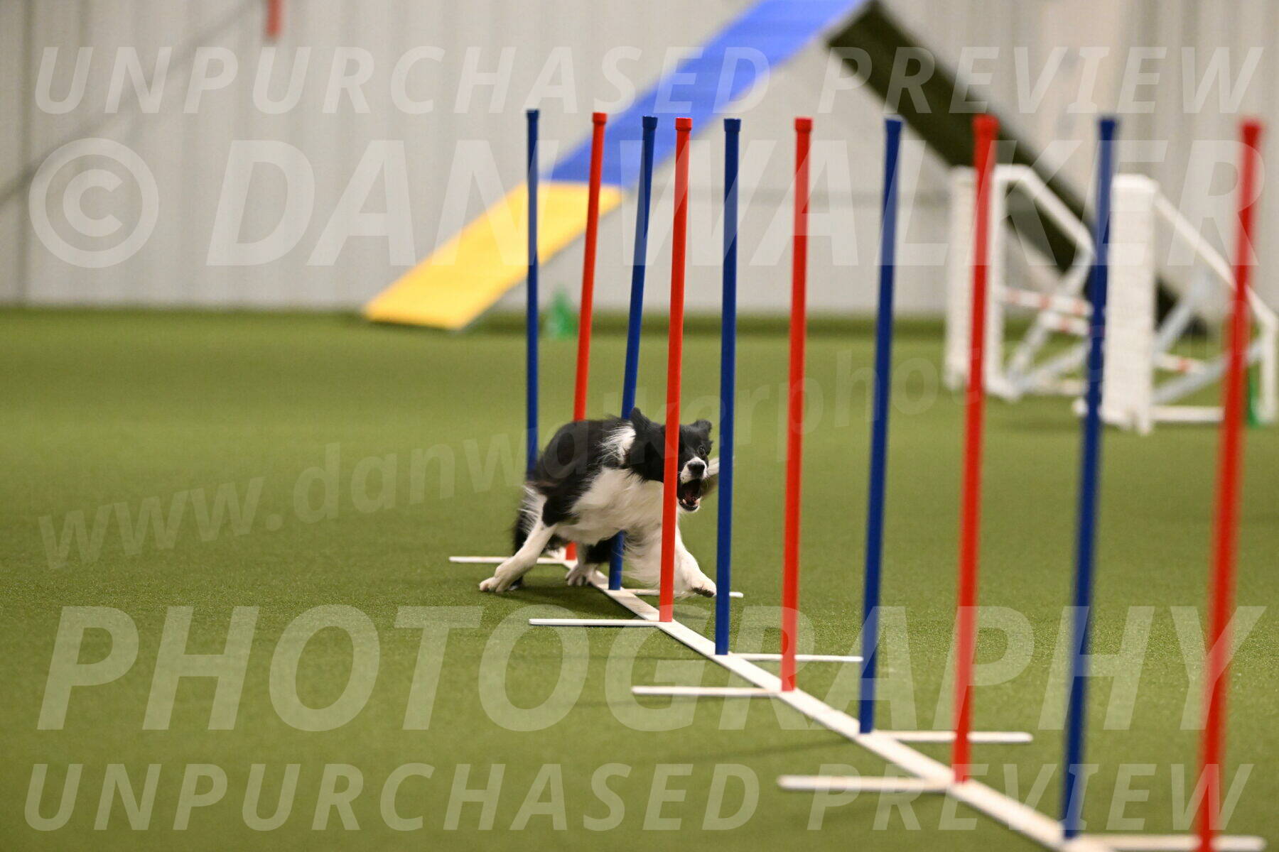 Esme-Samantha-Yanchik-00914