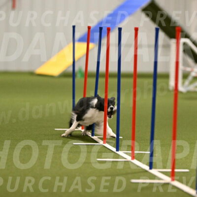 Esme-Samantha-Yanchik-00914