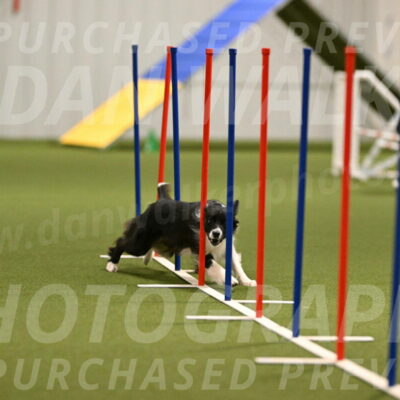 Esme-Samantha-Yanchik-00915