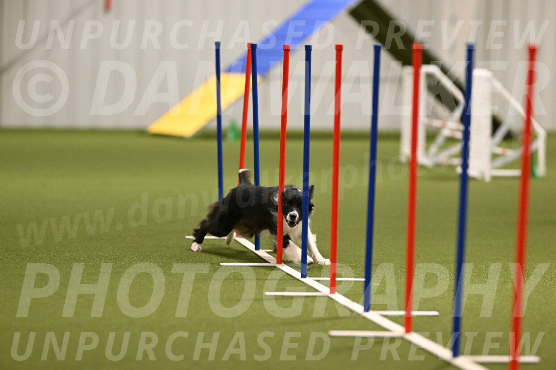 Esme-Samantha-Yanchik-00915