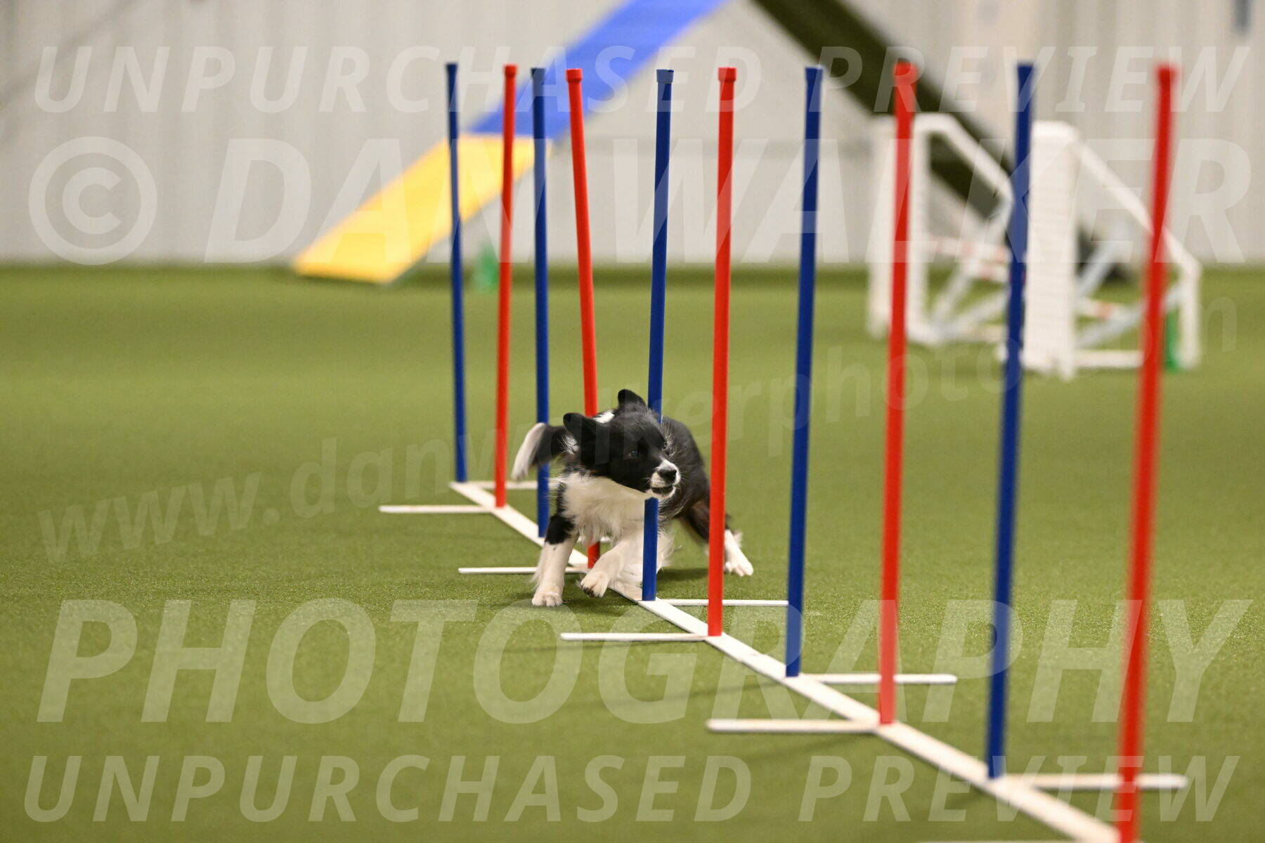 Esme-Samantha-Yanchik-00916