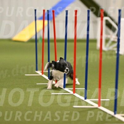 Esme-Samantha-Yanchik-00916