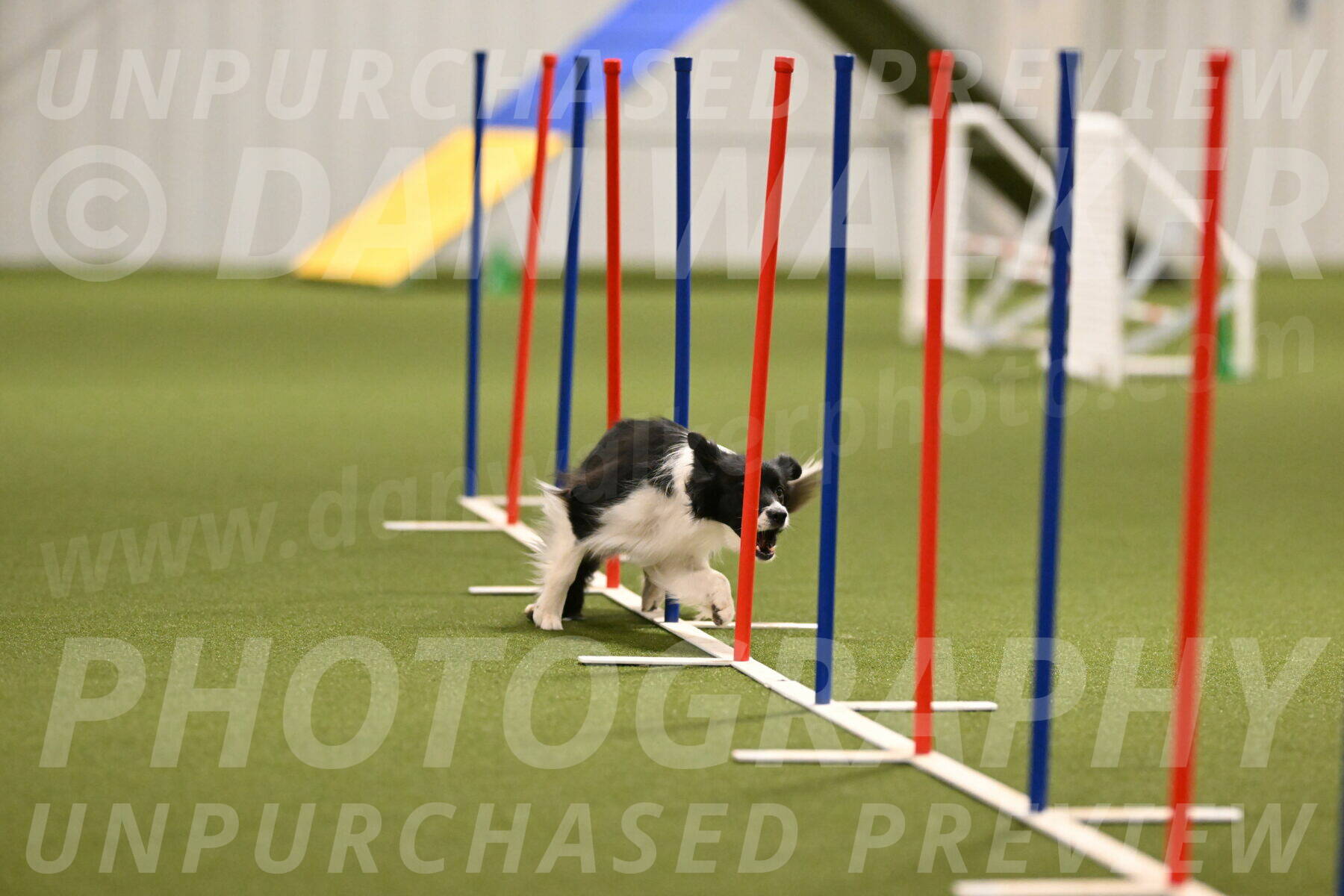 Esme-Samantha-Yanchik-00917