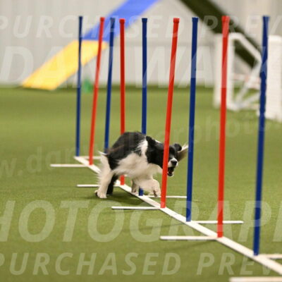 Esme-Samantha-Yanchik-00917