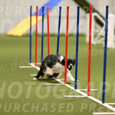 Esme-Samantha-Yanchik-00918