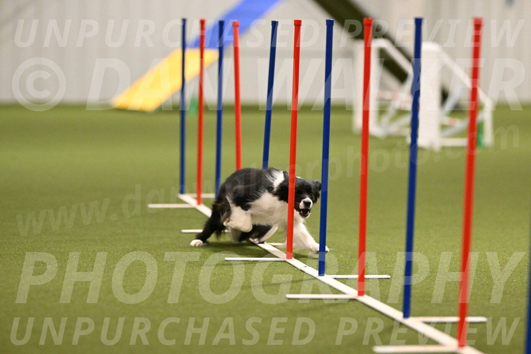 Esme-Samantha-Yanchik-00918