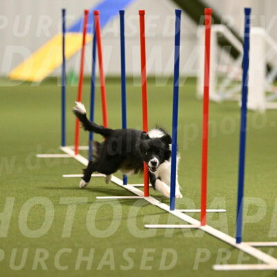 Esme-Samantha-Yanchik-00919