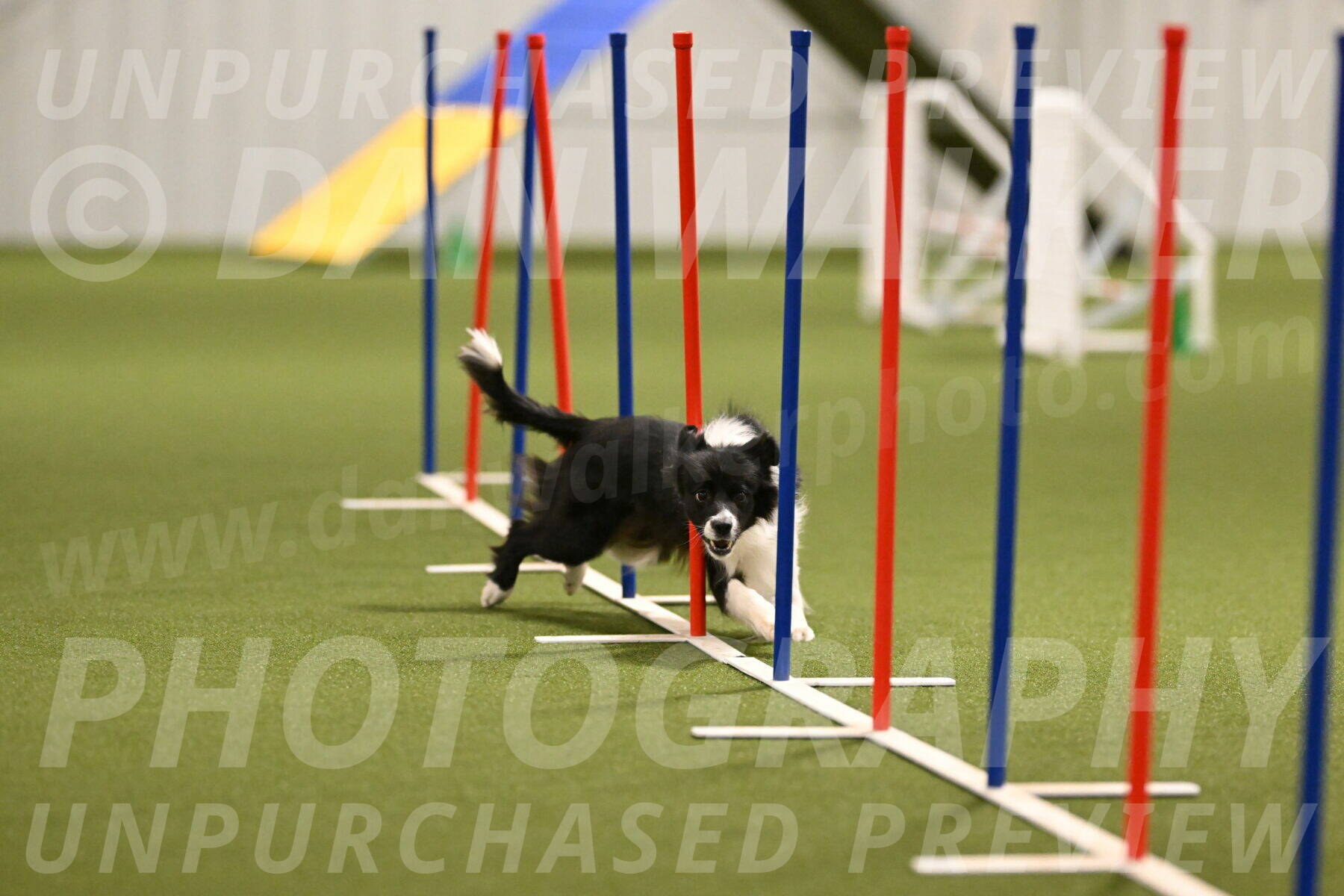 Esme-Samantha-Yanchik-00919