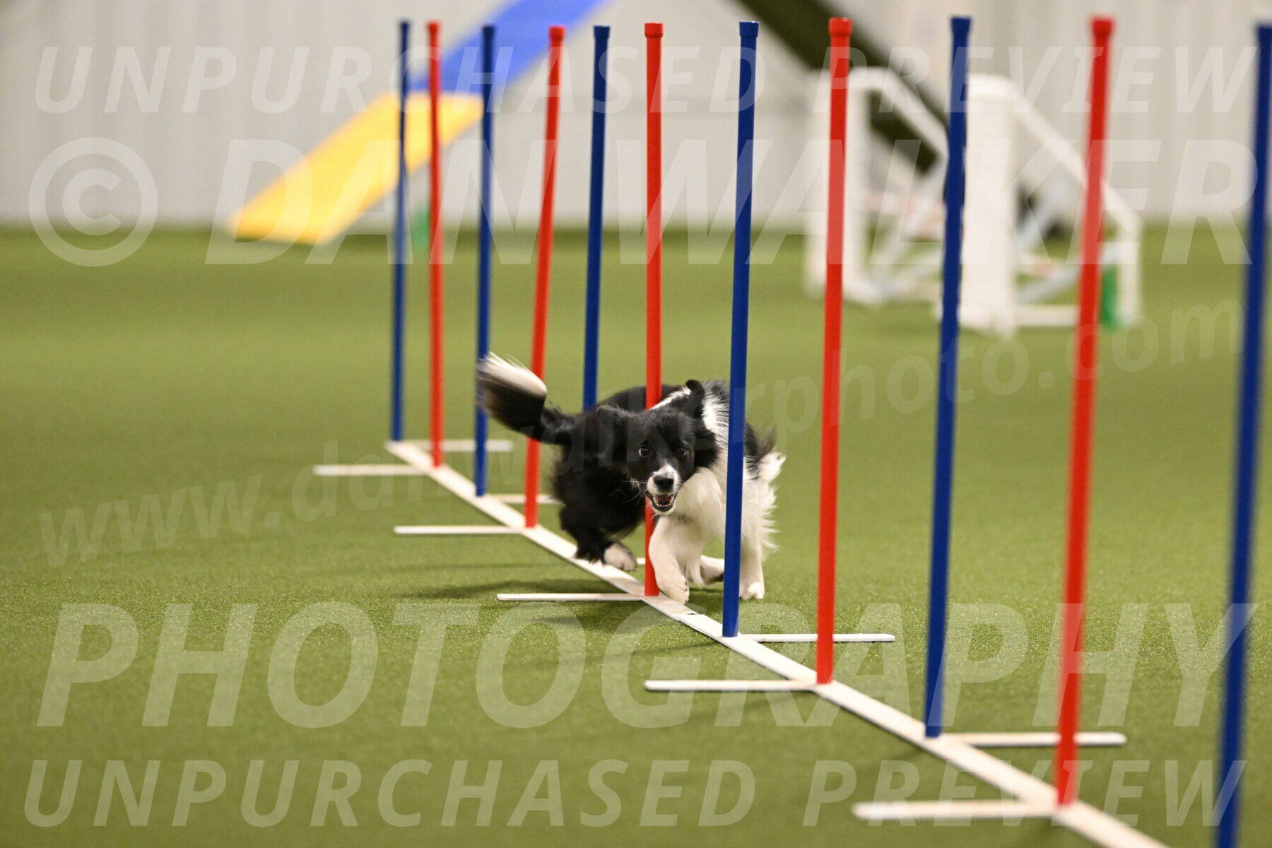 Esme-Samantha-Yanchik-00920