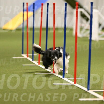 Esme-Samantha-Yanchik-00920