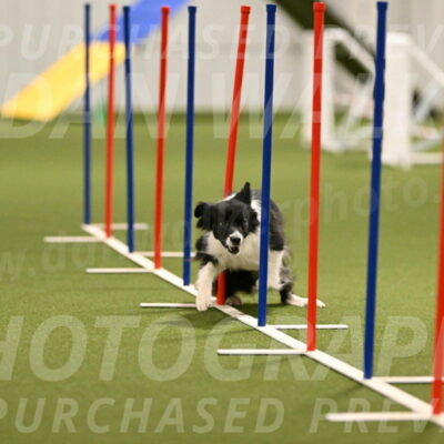 Esme-Samantha-Yanchik-00921