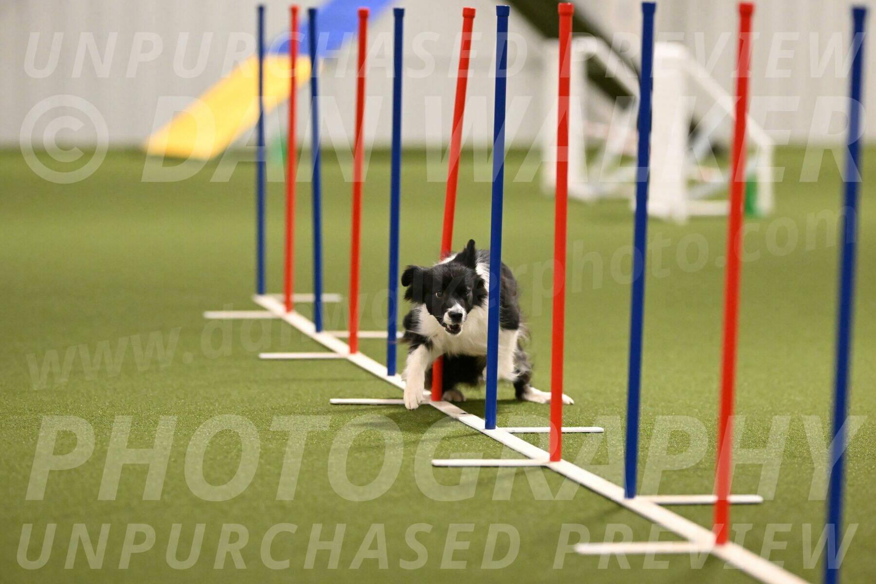 Esme-Samantha-Yanchik-00921