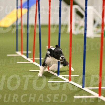 Esme-Samantha-Yanchik-00922