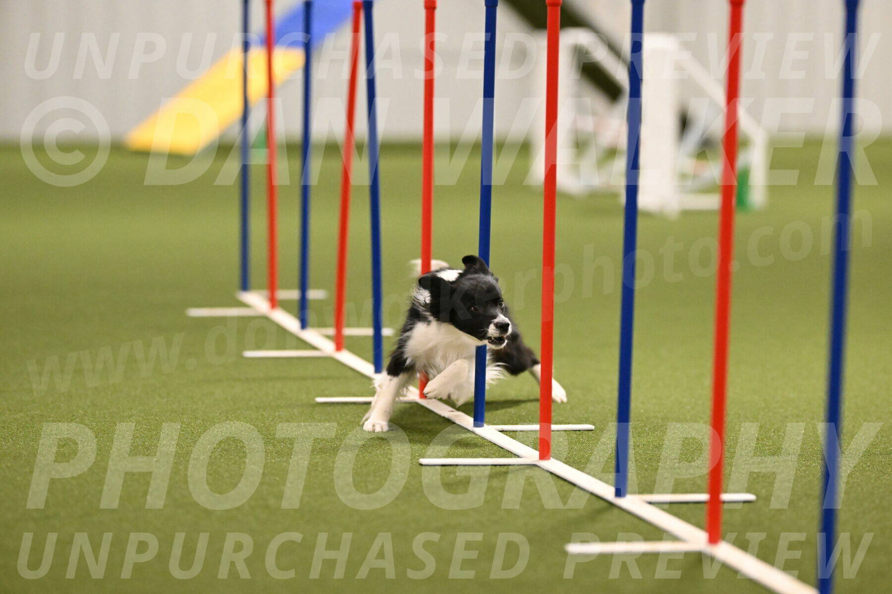 Esme-Samantha-Yanchik-00922