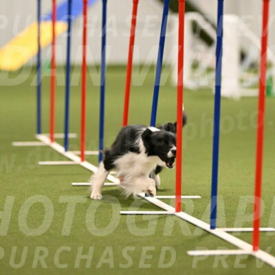 Esme-Samantha-Yanchik-00923