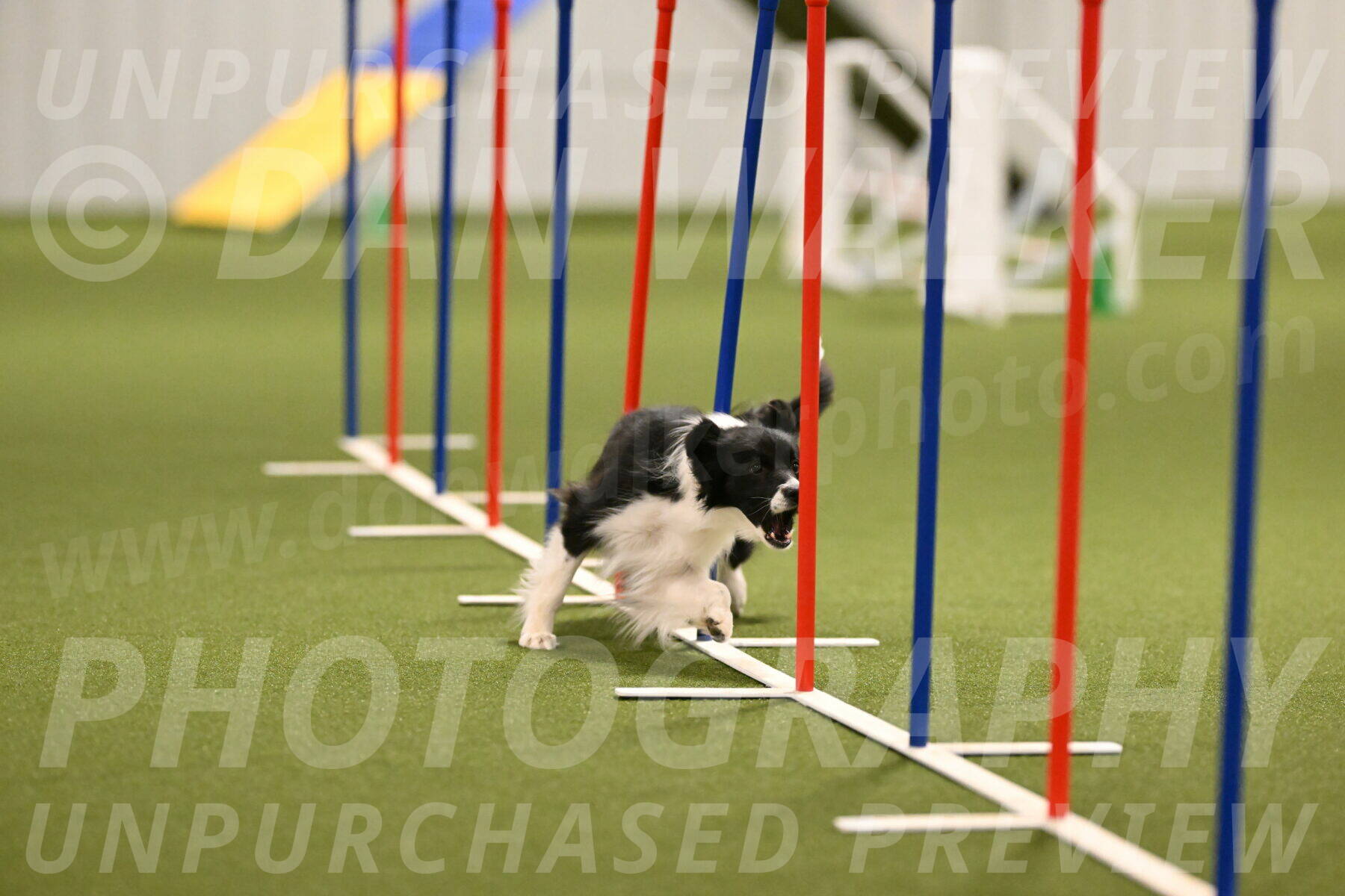 Esme-Samantha-Yanchik-00923