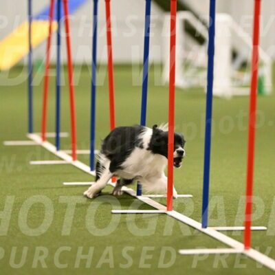 Esme-Samantha-Yanchik-00924