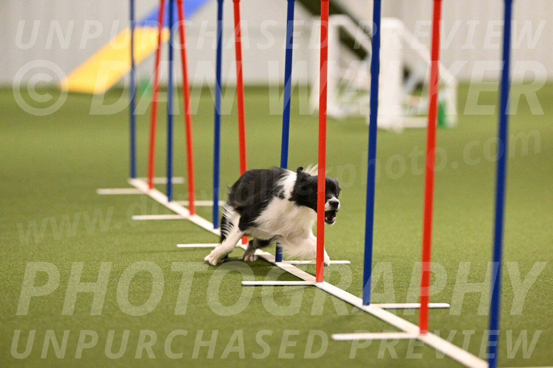 Esme-Samantha-Yanchik-00924