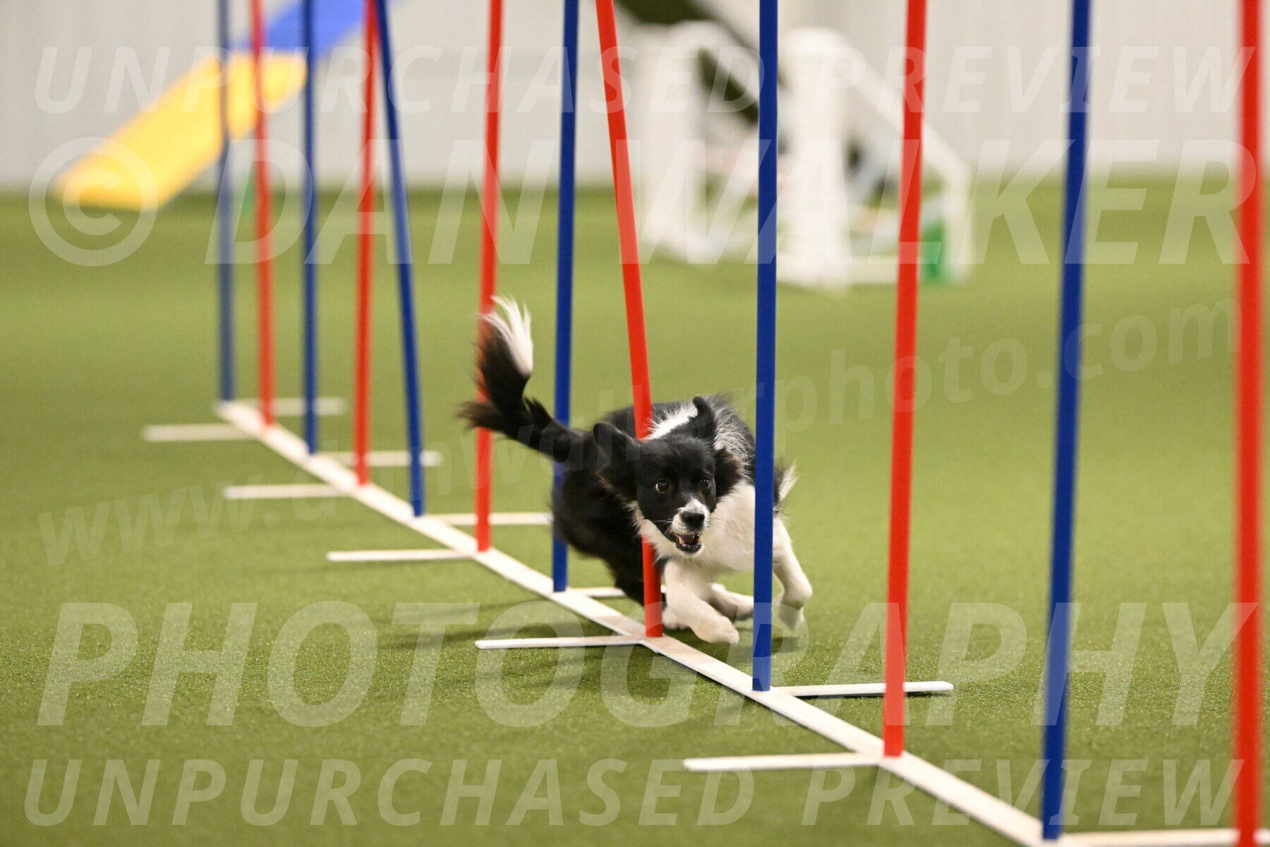 Esme-Samantha-Yanchik-00925