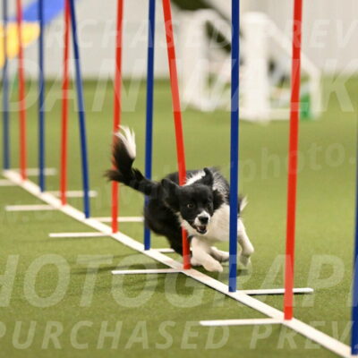 Esme-Samantha-Yanchik-00925