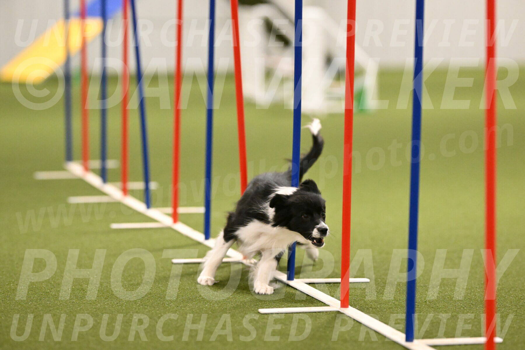 Esme-Samantha-Yanchik-00926