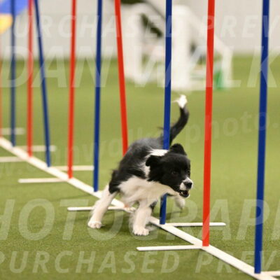 Esme-Samantha-Yanchik-00926