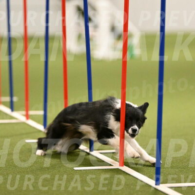 Esme-Samantha-Yanchik-00927