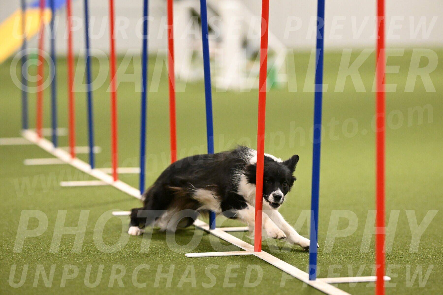 Esme-Samantha-Yanchik-00927