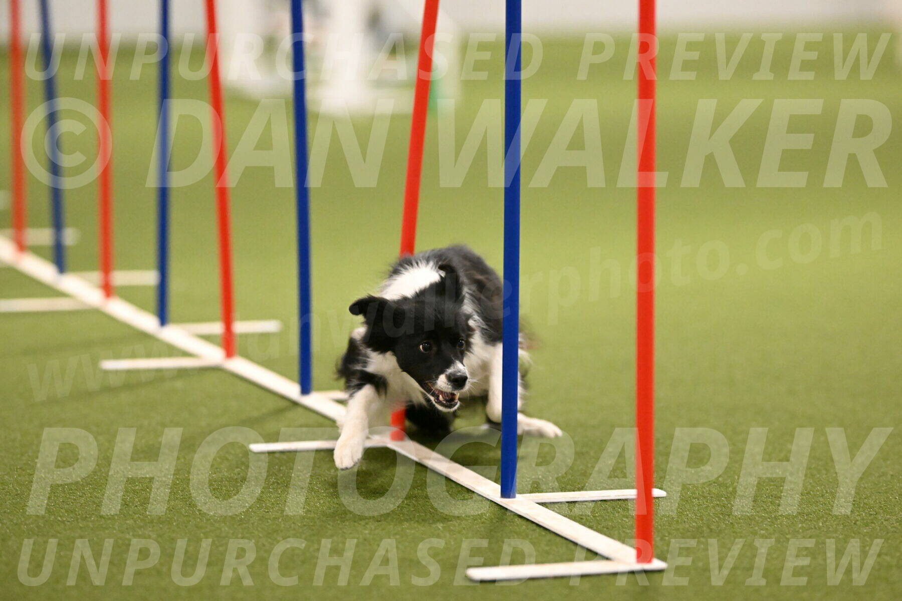 Esme-Samantha-Yanchik-00928