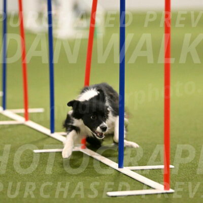 Esme-Samantha-Yanchik-00928