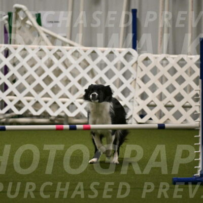 Esme-Samantha-Yanchik-00929