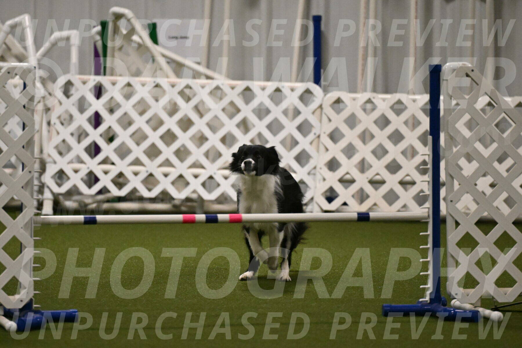 Esme-Samantha-Yanchik-00929