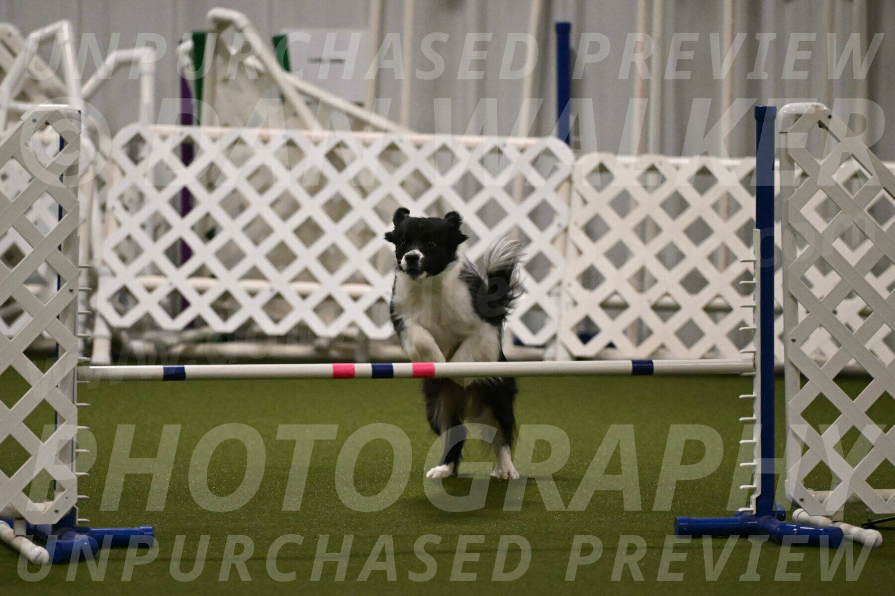 Esme-Samantha-Yanchik-00930