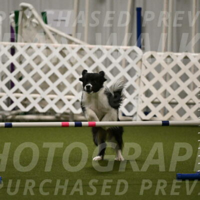 Esme-Samantha-Yanchik-00930