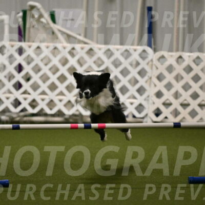 Esme-Samantha-Yanchik-00931