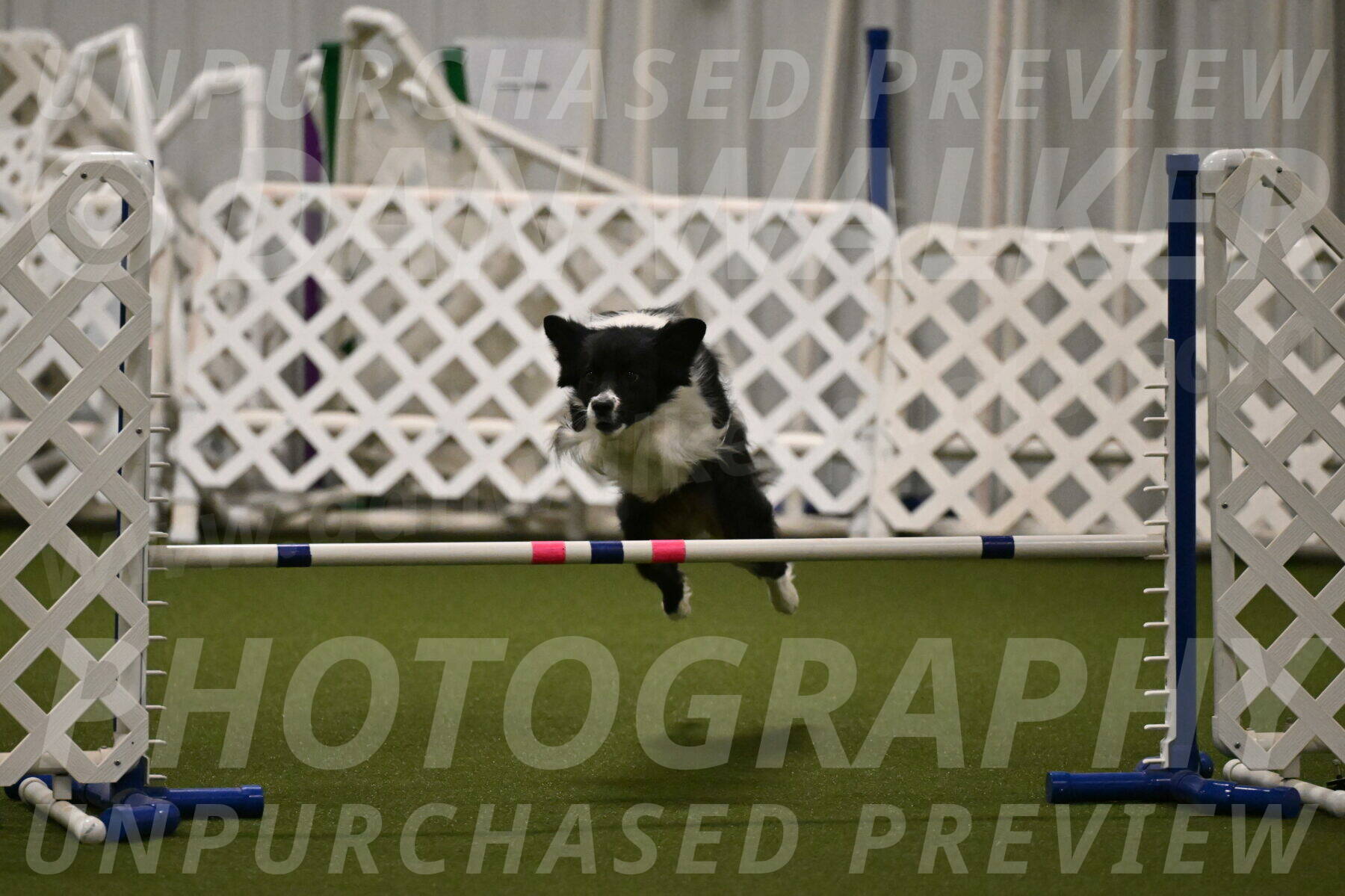 Esme-Samantha-Yanchik-00931