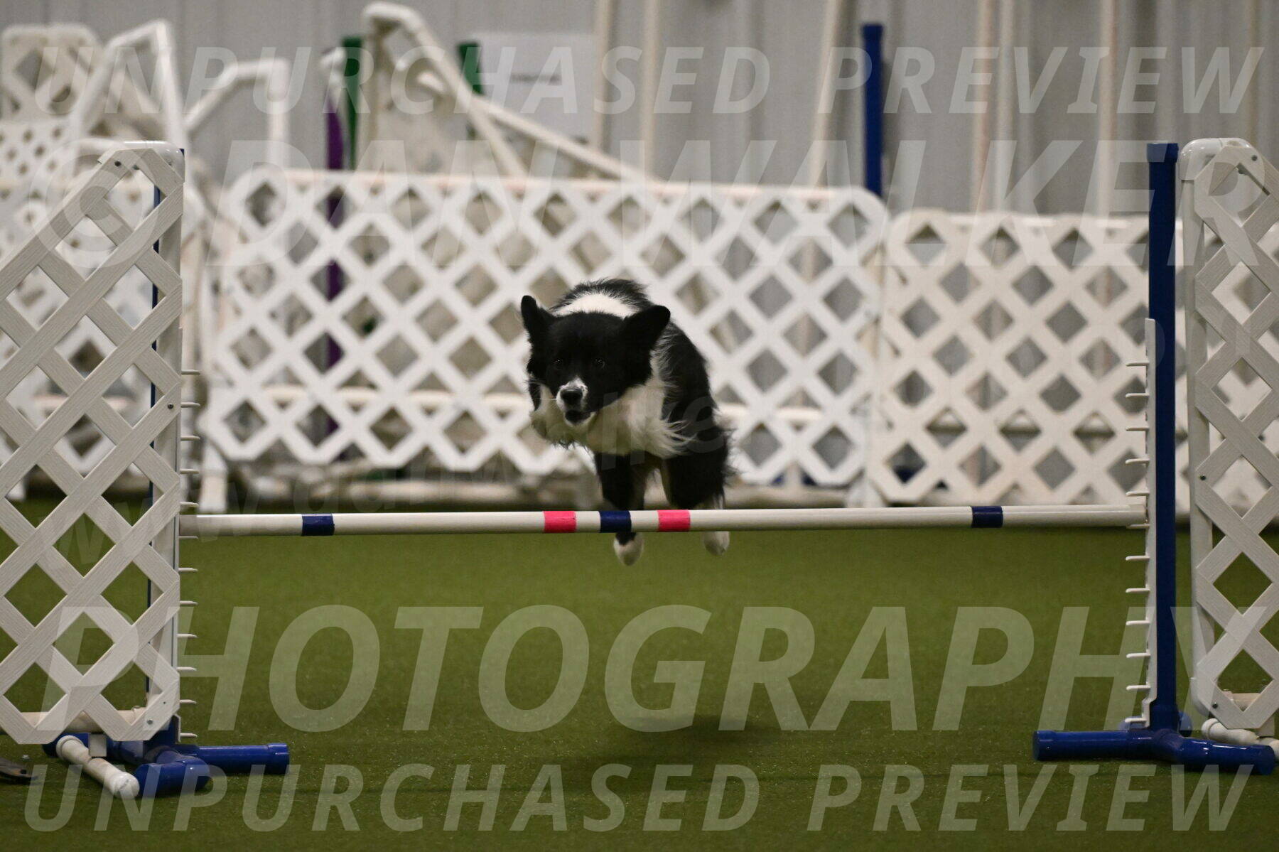 Esme-Samantha-Yanchik-00932