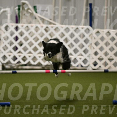 Esme-Samantha-Yanchik-00932