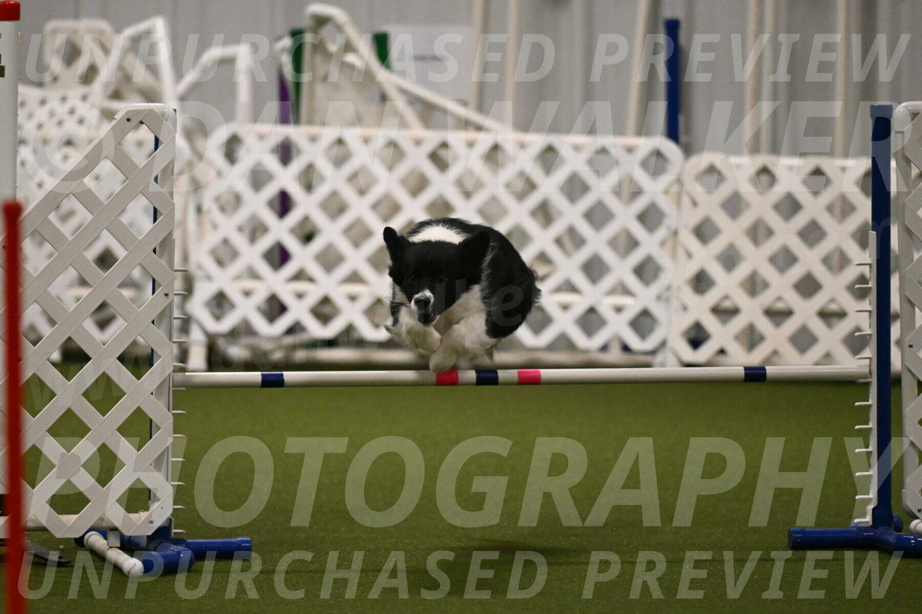 Esme-Samantha-Yanchik-00933