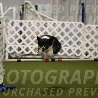 Esme-Samantha-Yanchik-00933