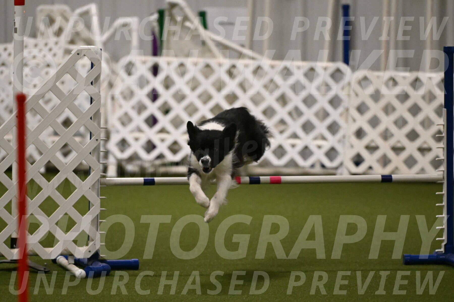 Esme-Samantha-Yanchik-00934