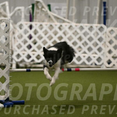 Esme-Samantha-Yanchik-00934