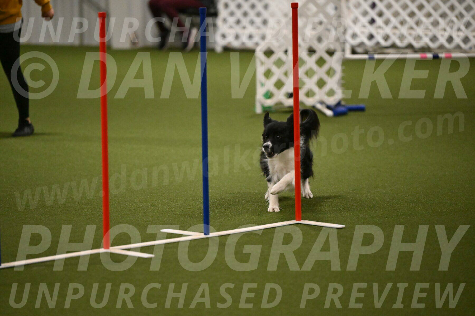 Esme-Samantha-Yanchik-00935