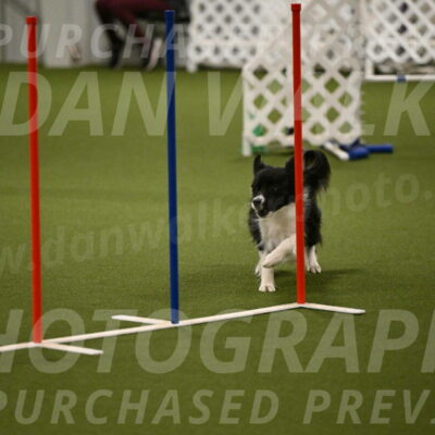 Esme-Samantha-Yanchik-00935